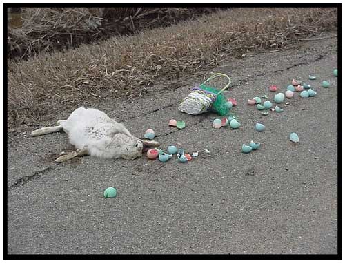 EasterBunny.jpg