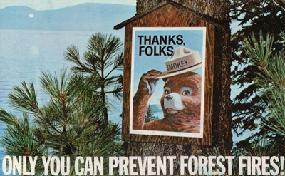 smokey bear.JPG