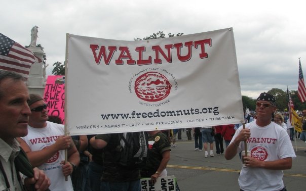 walnuts.jpg