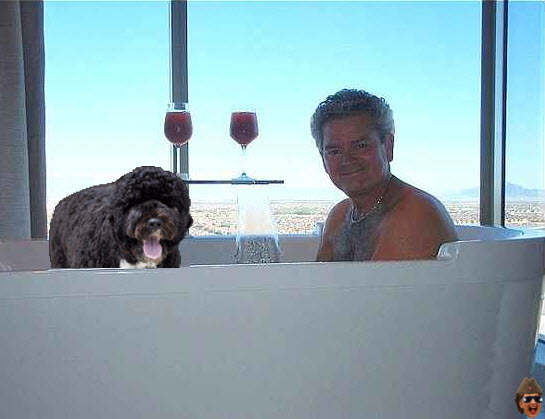 gsa-hot-tub-bo.jpg