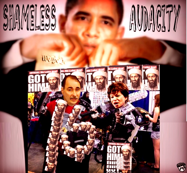 shameless audacity 256.jpg