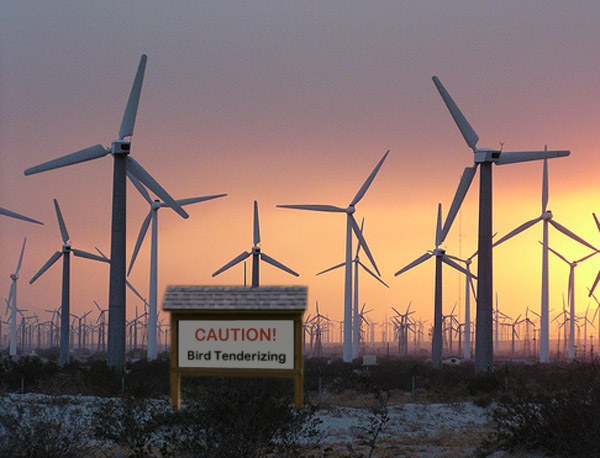 WindFarm.jpg