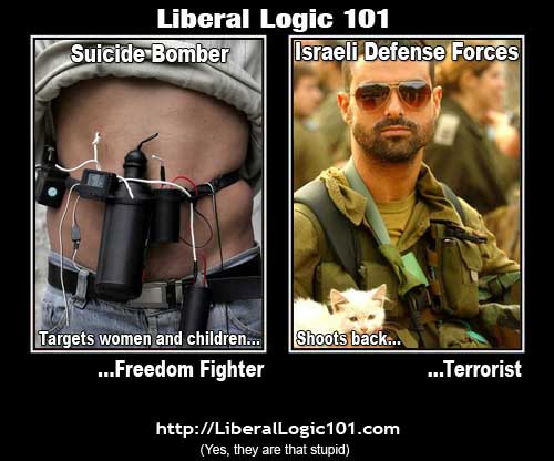 LiberalLogic101_Israel.jpg