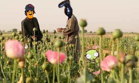 buf che poppy field.jpg