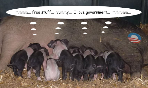 piglets.jpg