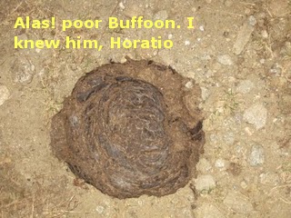 yak turd.JPG