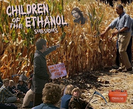 bo field of dreams_thumb[1].jpg