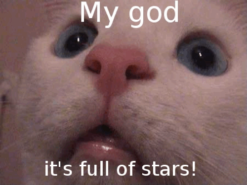 starcat.gif