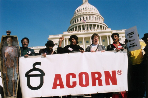acorn.jpg