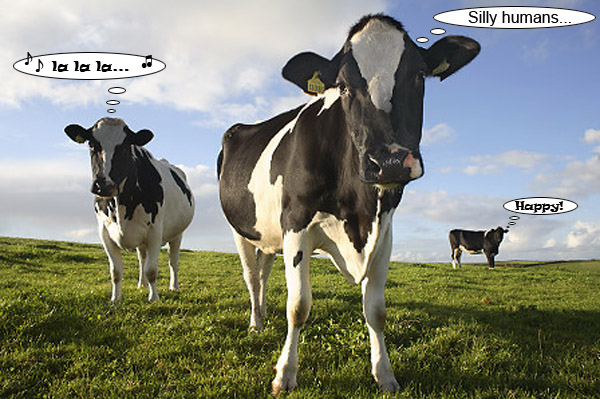 HappyCows.jpg
