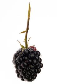 blackberry.jpg
