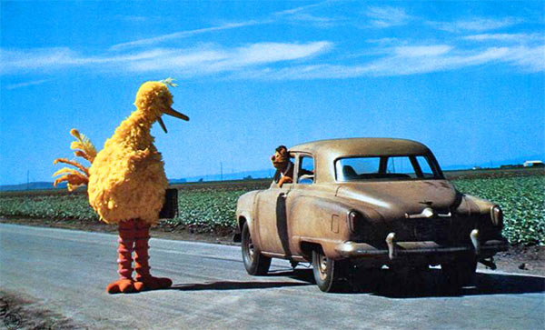 Big_Bird_Cuba.jpg