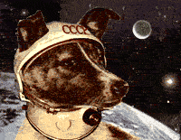 Laika_In_Space.gif