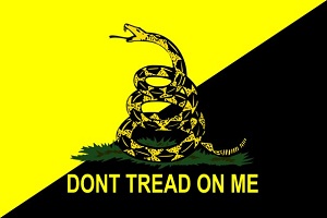 't tread on me cube.jpg