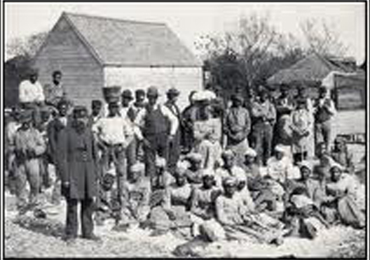 democrat plantation.jpg