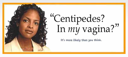 centipedes.jpg