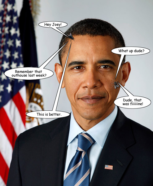 ObamaFlies.jpg