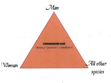 triangle.jpg