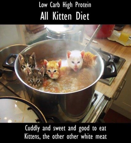 9_kittensnt5.jpg
