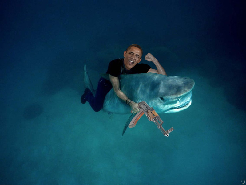 1obamasharkS.jpg