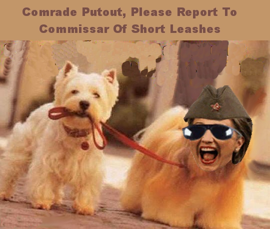 putout short leash.jpg