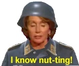 np01.jpg