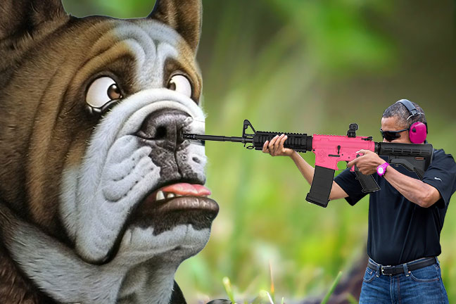obamagun2.jpg