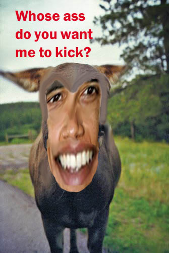 ObamaJackass.jpg