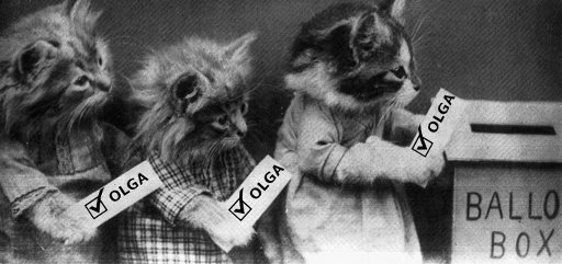 kittens-voting.jpg