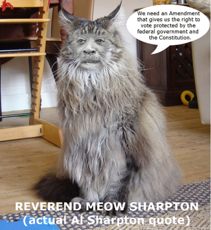 meowsharpton.jpg