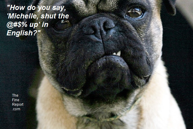 Angry pug edited.jpg