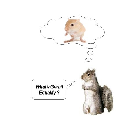 gerbil equality.jpg