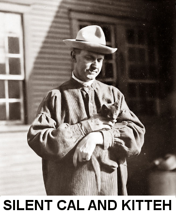 coolidge-cat.jpg