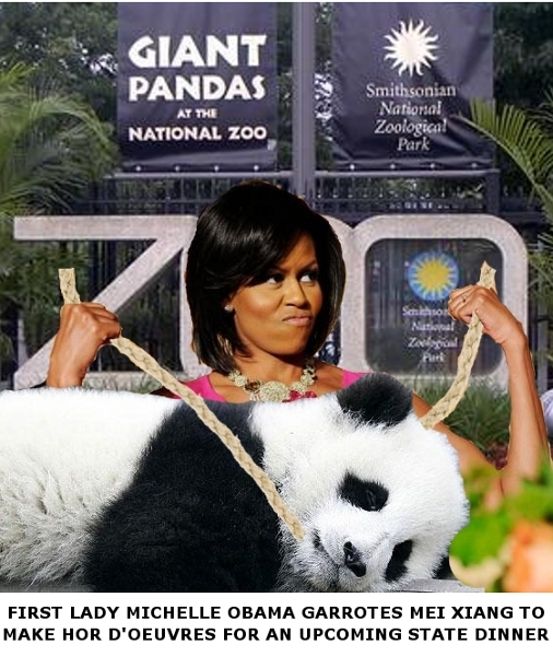 michellepanda.jpg