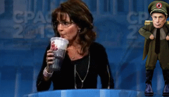 PALINS THOUGHTCRIME DOOMBERG.gif