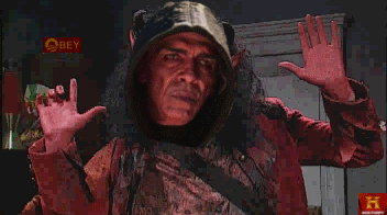 BHO History Channel.gif