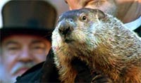 Groundhog.jpg