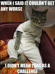CouldntGetWorse.JPG