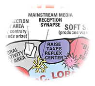 Brain_Socialist.png