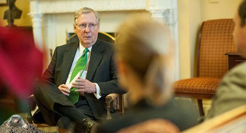 mcconnell_reporters_westcott_605_605 copy.jpg