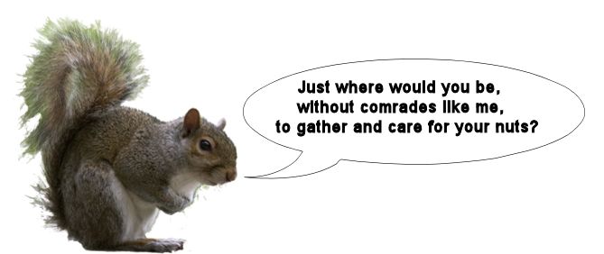 Squirrel waiting 3.jpg