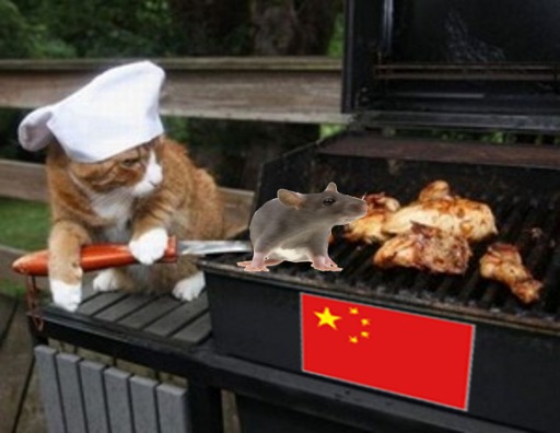 cat-chef.jpg