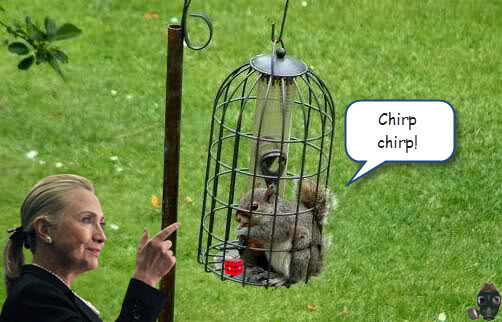 captain-craptek-in-bird-feeder.jpg