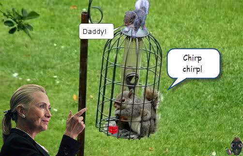 22298-captain-craptek-in-bird-feeder 2.jpg