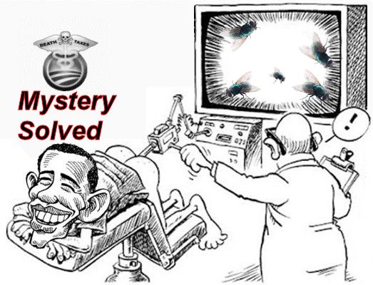 Obama butt flies.jpg