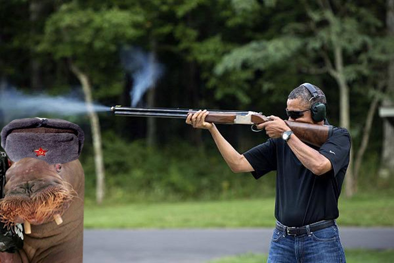 obamashooting walrus.jpg