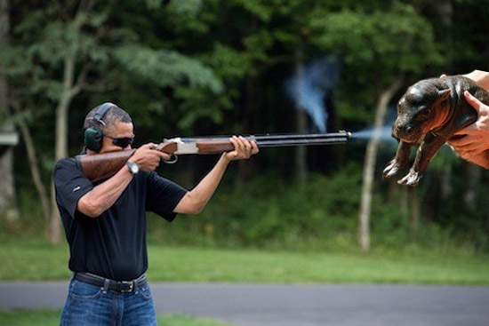 obamashothippo.jpg