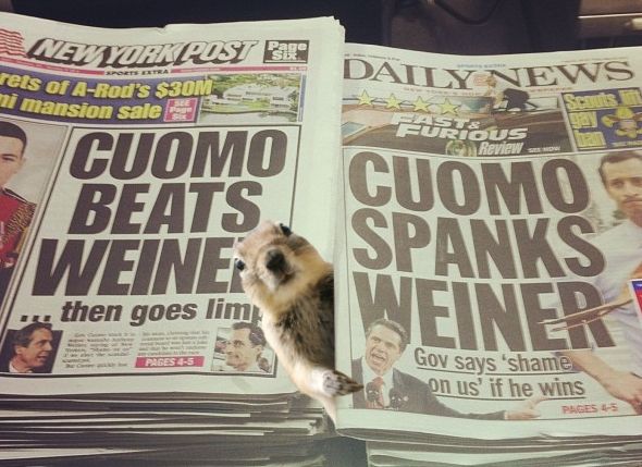 Weiner 2.jpg