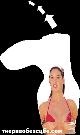 FastTimesAtPheobe.png
