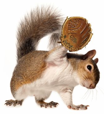 squirrel raised paw 2.jpg